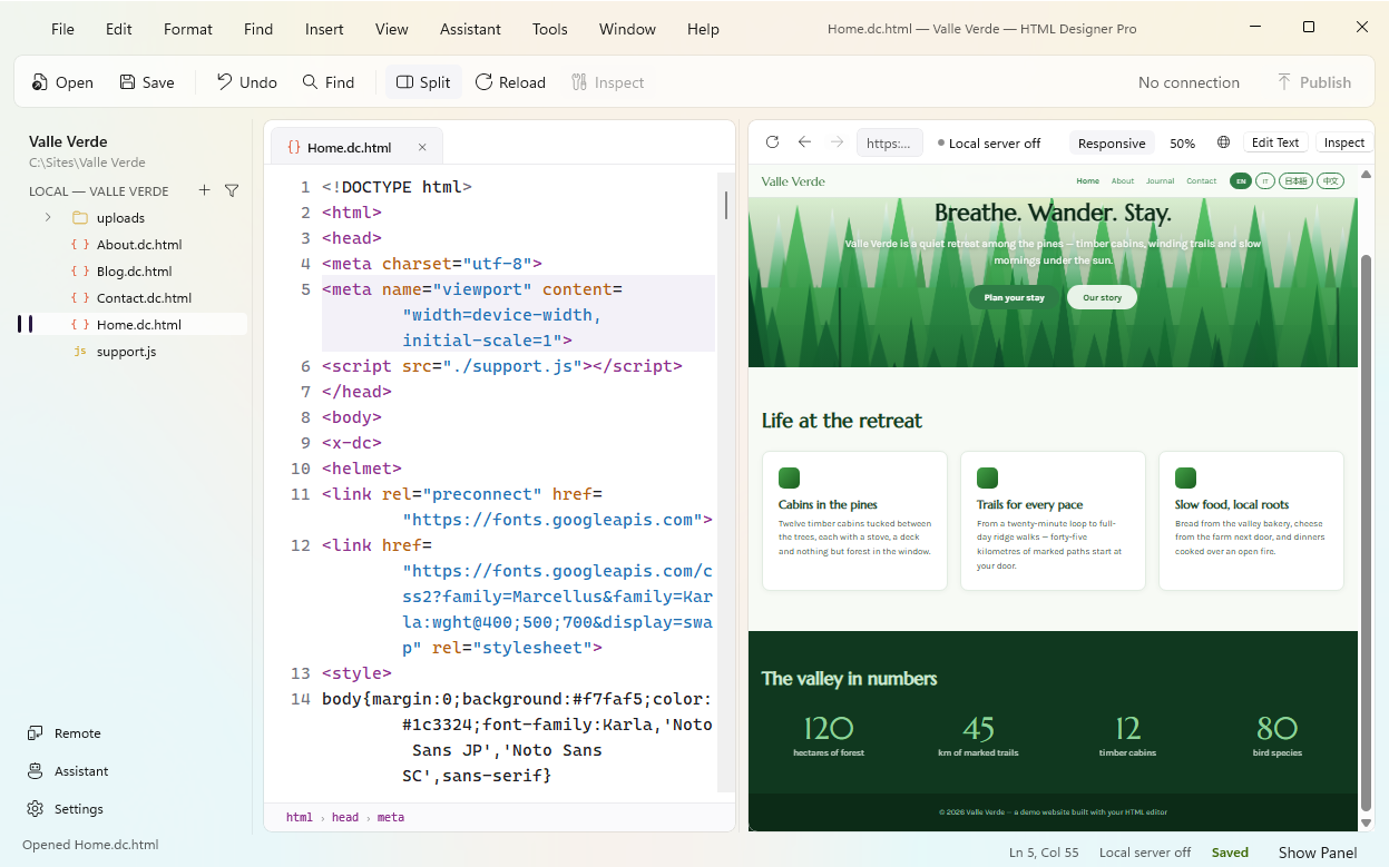 HTML Designer Pro on Windows: the file tree, the code and the live preview side by side