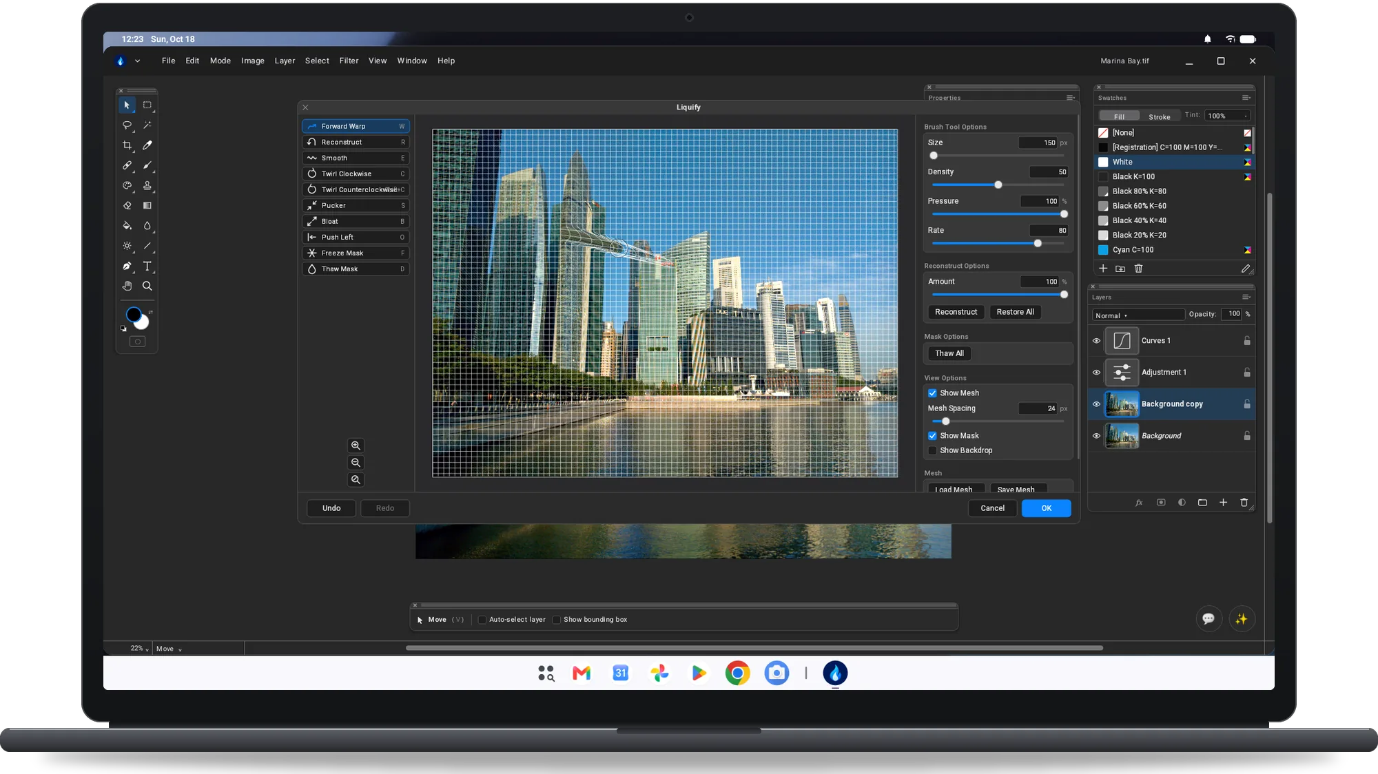 Flare on a Googlebook: the Liquify window with its mesh over the photo