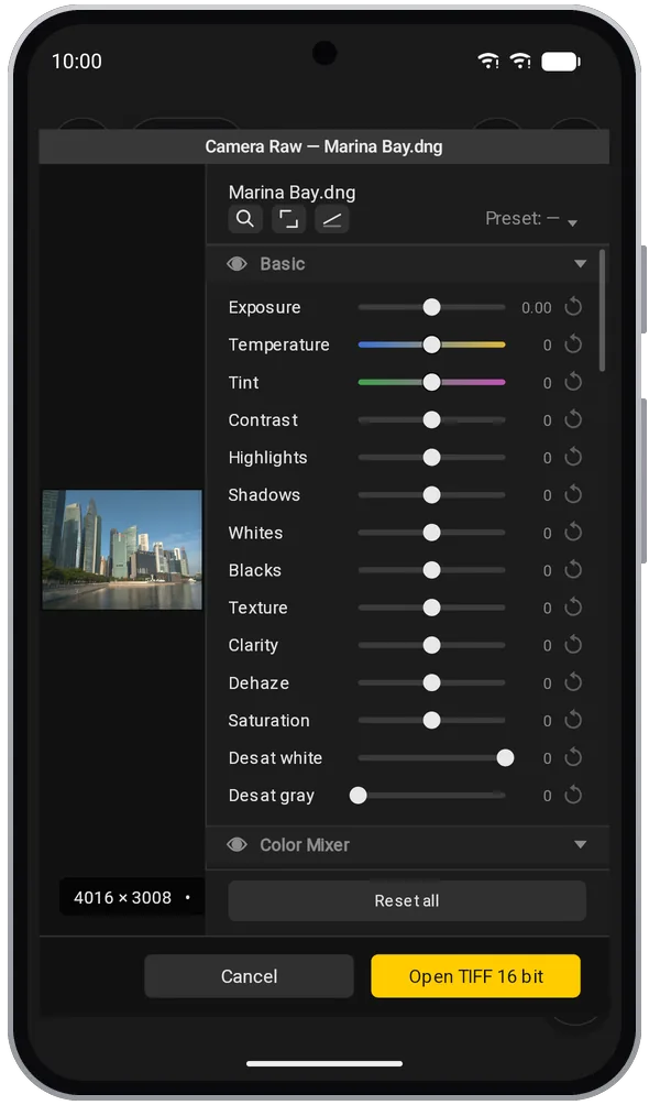 Camera Raw on an Android phone with the Basic sliders for a raw photo